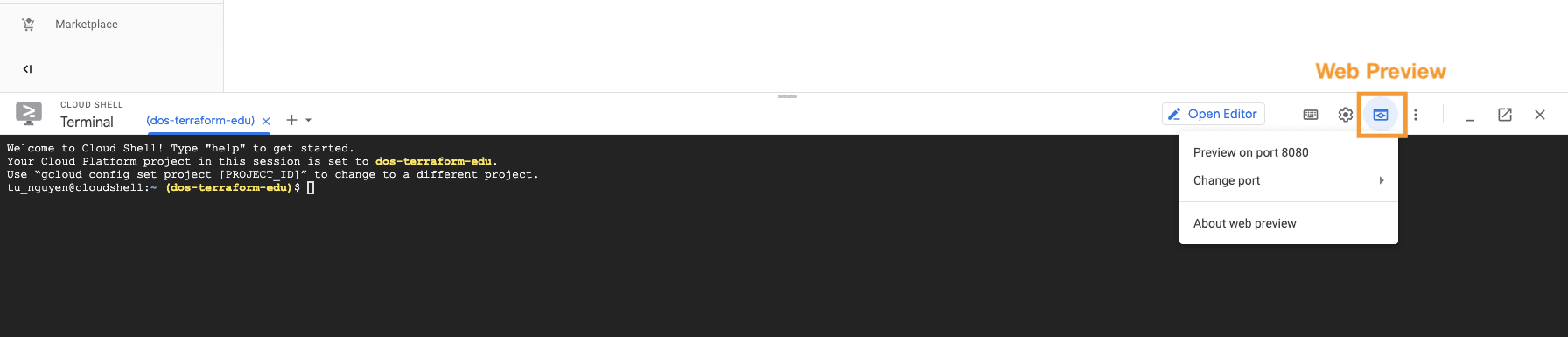 Google Cloud with Web Preview option pointed out (top right corner of the "Cloud Shell")